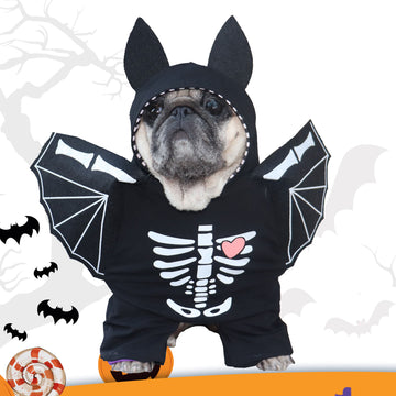 Halloween Bat Costume for small dogs 🐶🦇