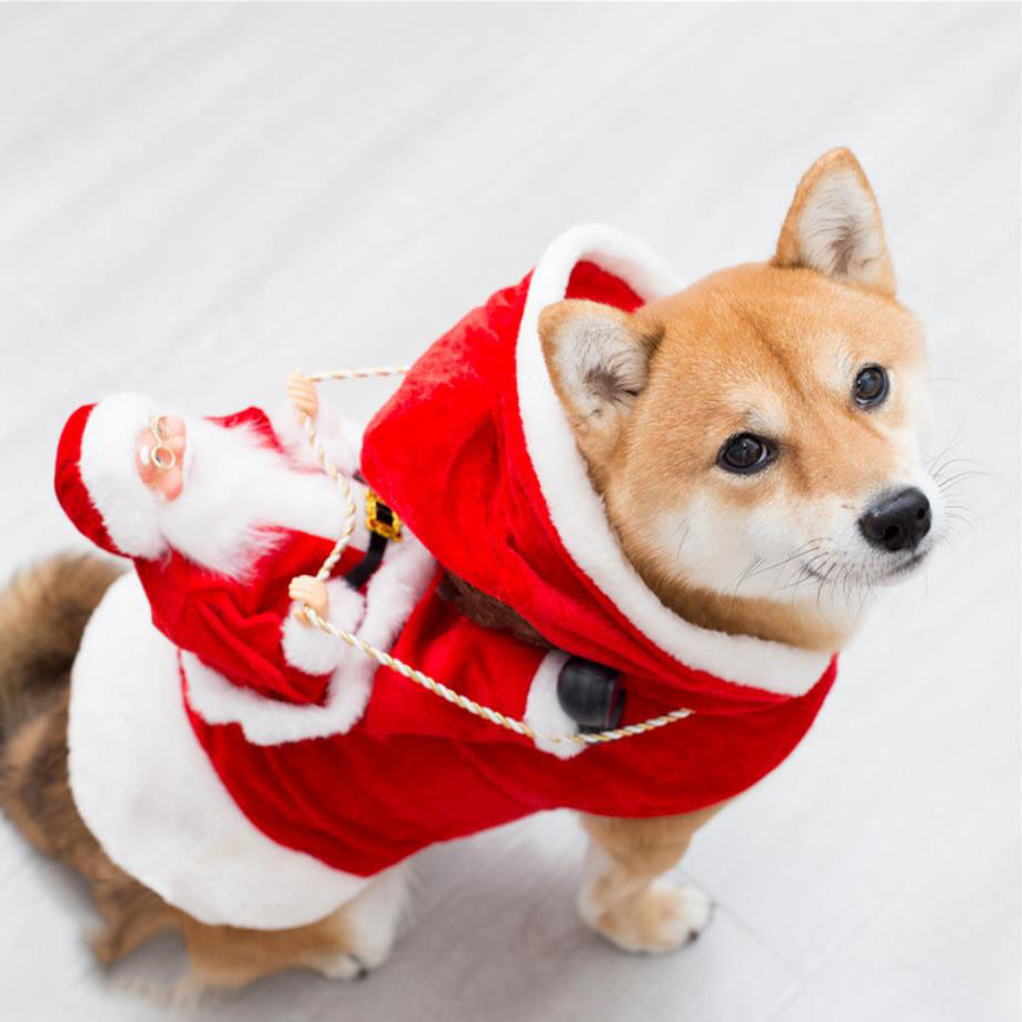 Christmas Santa Rider And Elf Costumes For Dogs