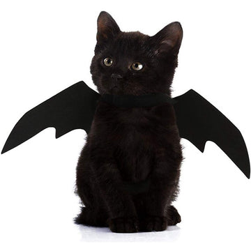 Halloween Bat Wing Costume For Cats & Small Dogs