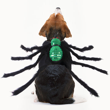 Spider costume for your pets