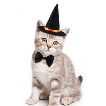 Halloween Wizard Hat & Bow Tie Suit Costume