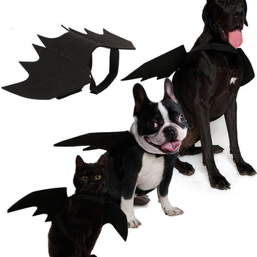 Halloween bat wing costume for small dogs
