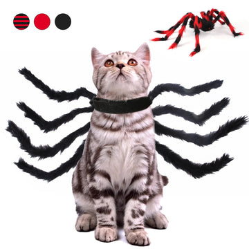Pet Cat/Dog Halloween Spider Costume
