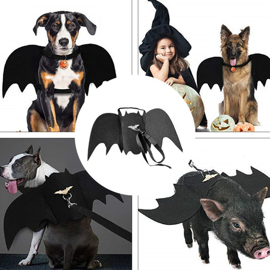 Funny Halloween pet bat wings for dogs