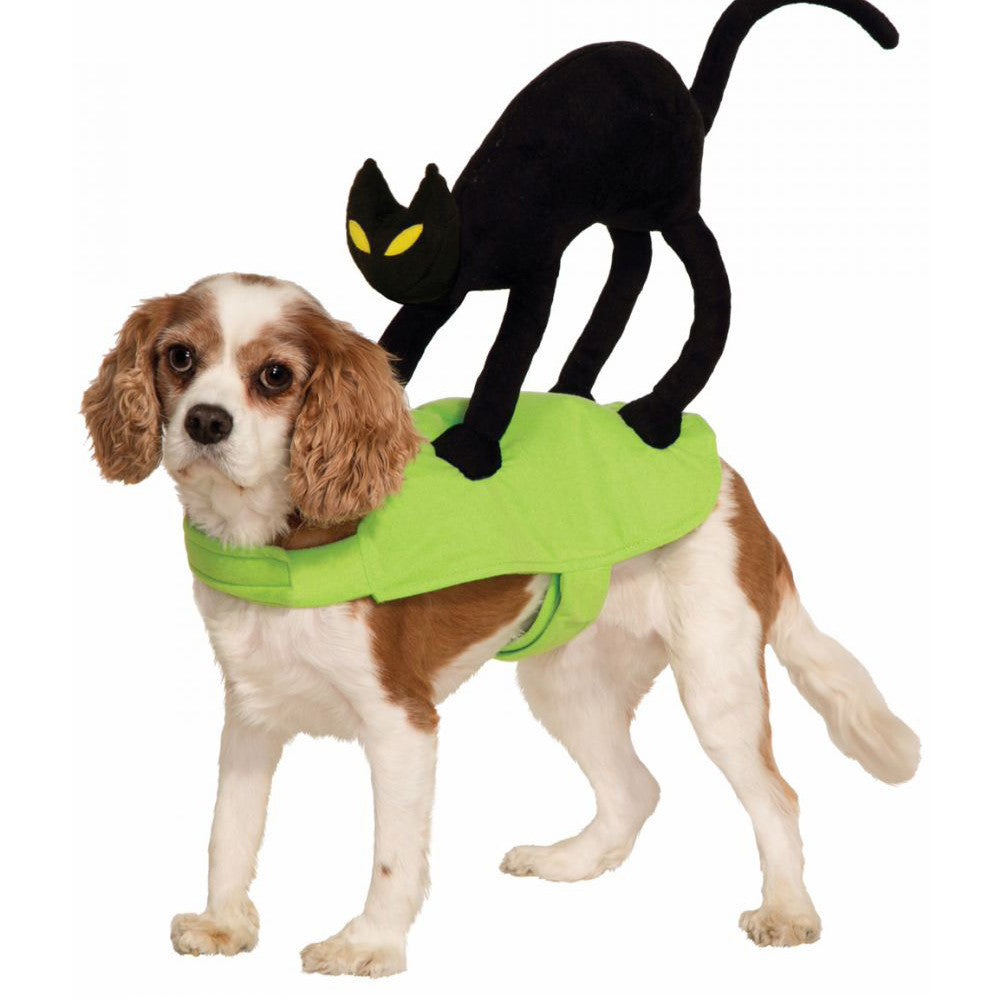 Halloween Scaredy Cat Dog Costume 🙀🐶
