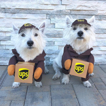 Express Postal Pet Dog/Cat Halloween Costumes