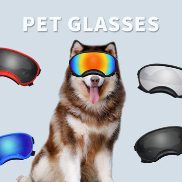 Wind Protection Ski Goggles For Dogs