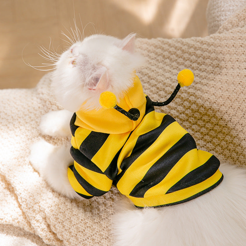 Honeybee Cat Costume 🐱🐝