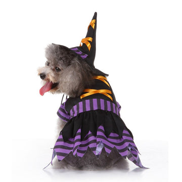 Funny Halloween Dog Witch Dress