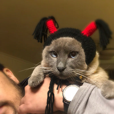 Funny Halloween Cat Hat